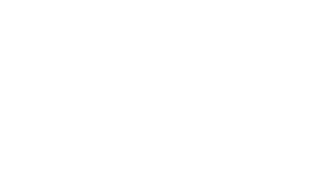Spicegeist